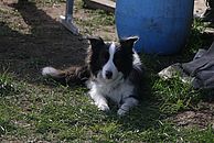image-1482