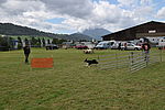 zoom_100x67_DSC_2636