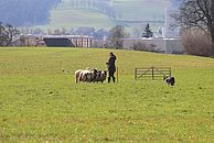 image-1478