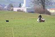 image-1490