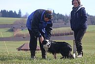 image-1452