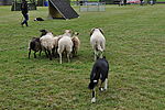 zoom_100x67_DSC_2673