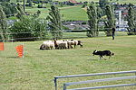 zoom_100x67_DSC_2889