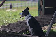 image-1468