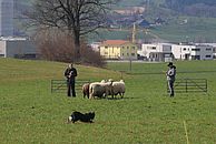 image-1448