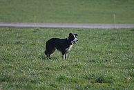 image-1456