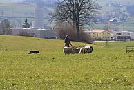 image-1477