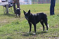 image-1463